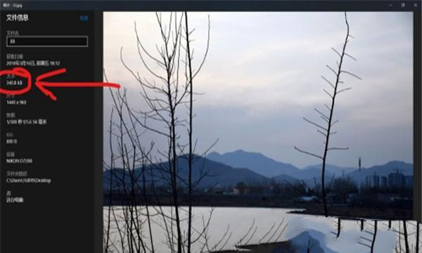 如何使用Photoshop修改圖片的大小？  第8張